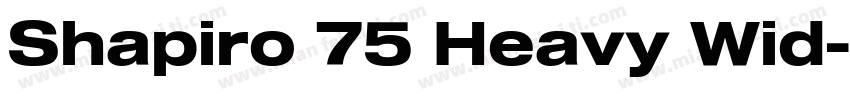 Shapiro 75 Heavy Wid字体转换